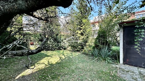 foto07_11119343_60947.jpg