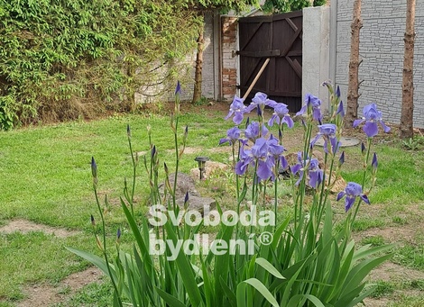 foto05_11362636_2bldk.jpg
