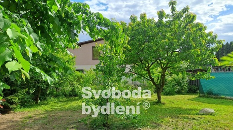 foto05_11362636_5h7qo.jpg