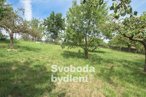 foto05_11365166_5r730.jpg