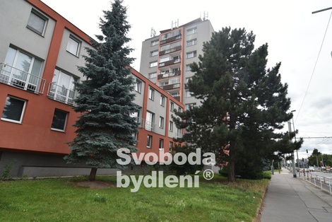 foto05_11372620_3sme2.jpg