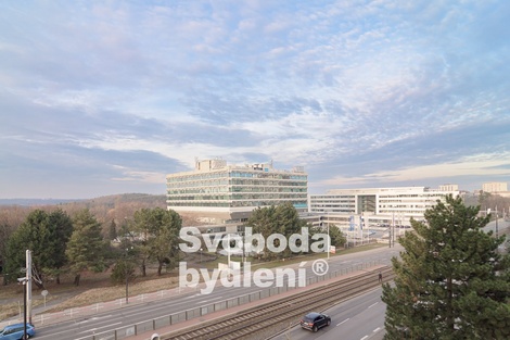 foto05_11372620_79ank.jpg