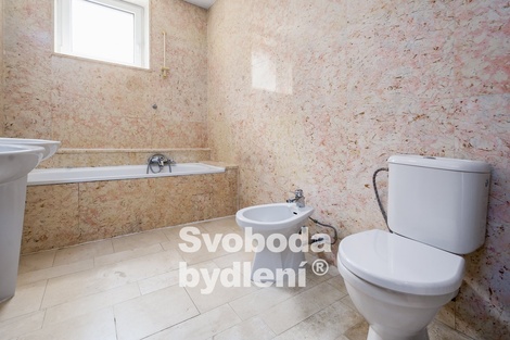 foto05_11372750_9busm.jpg