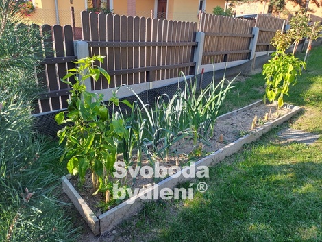foto05_11572840_7r4le.jpg
