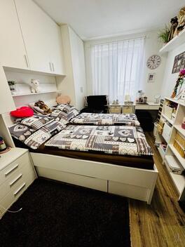 foto02_11468477_v8hek.jpg