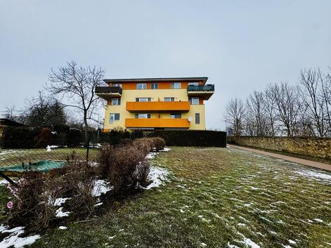 foto02_11468477_wp7ec.jpg