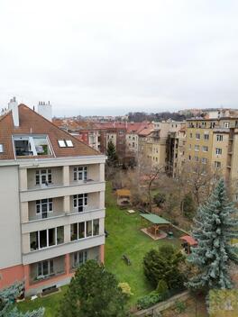 foto02_11493651_1asvk0.jpg