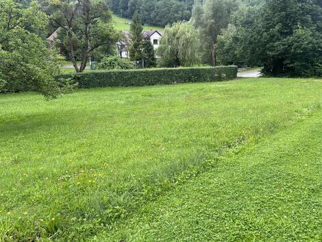 foto02_11529834_dtoig.jpg