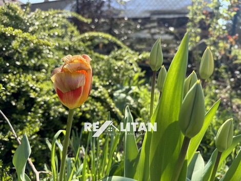 foto05_11479172_6ssvq.jpg
