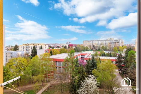 foto05_11482214_3pdku.jpg