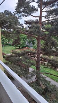 foto02_11492887_18xbm0.jpg