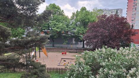 foto02_11492887_1jeyr0.jpg