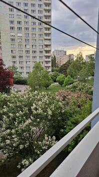 foto02_11492887_wdmyo.jpg